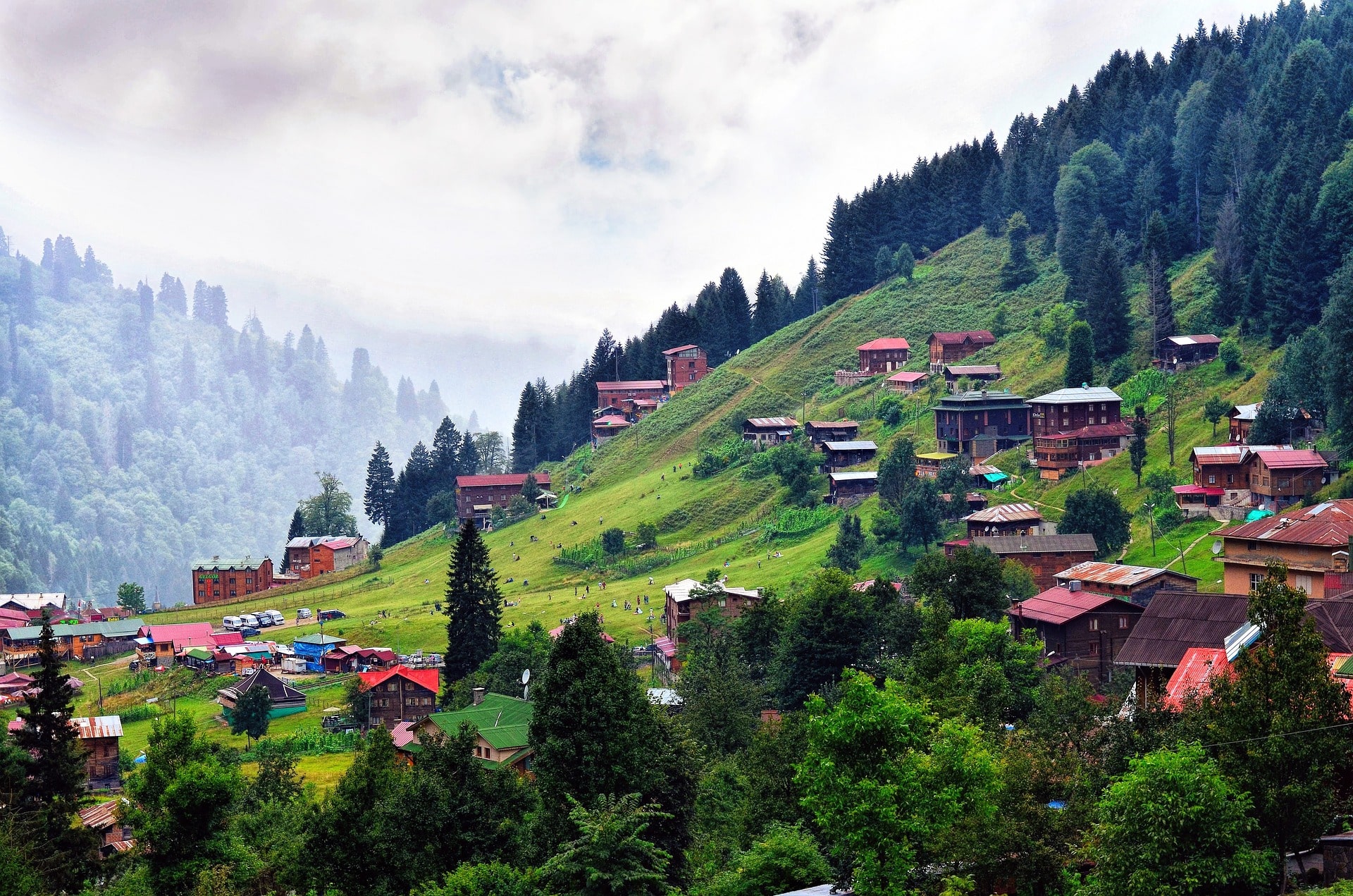 Zentra Travel